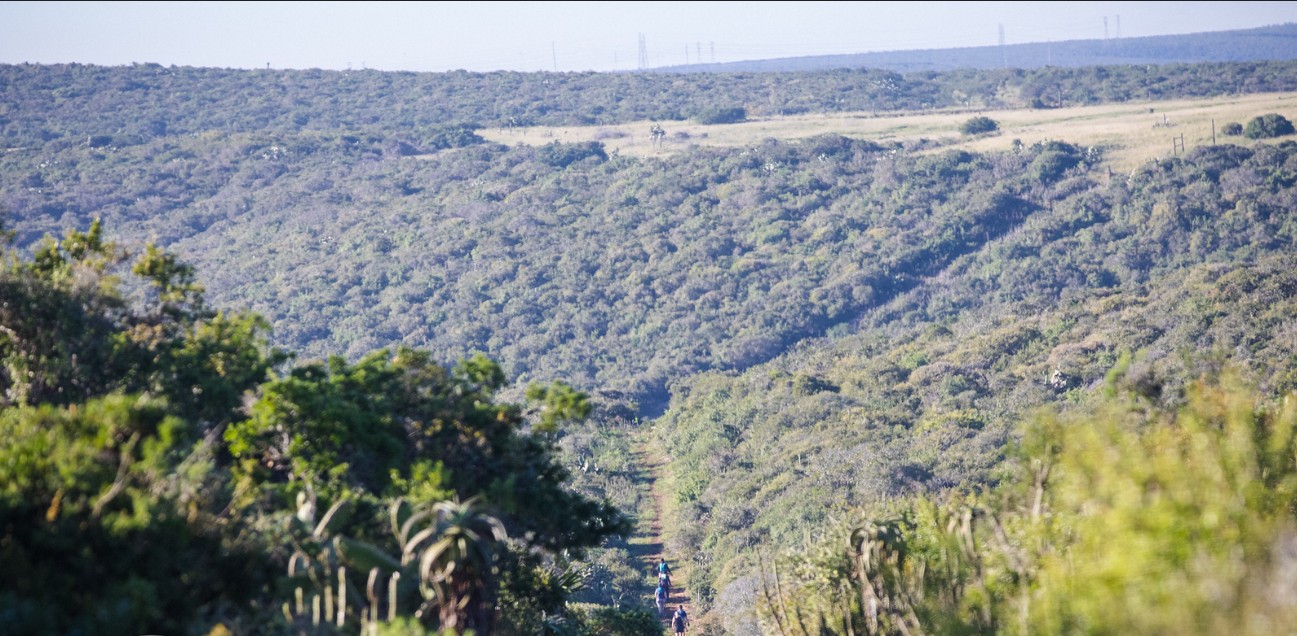 bush trails
