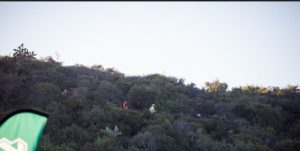 from lapa across bush