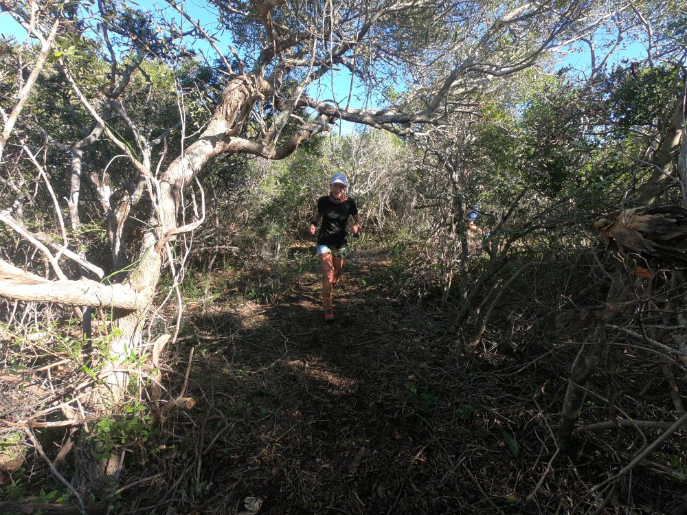 gopr1263 (resized)