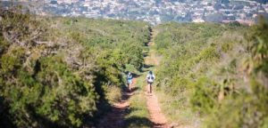 runners down path