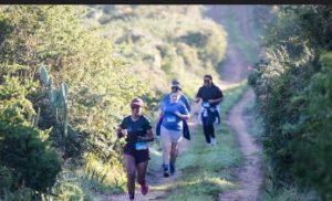runners on trail 2
