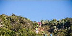 runners path 1