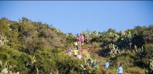 runners path 2