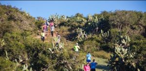 runners path 5