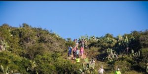 runners path 6