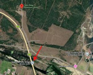 swartkops river bridge out of service