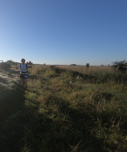 top field (r)