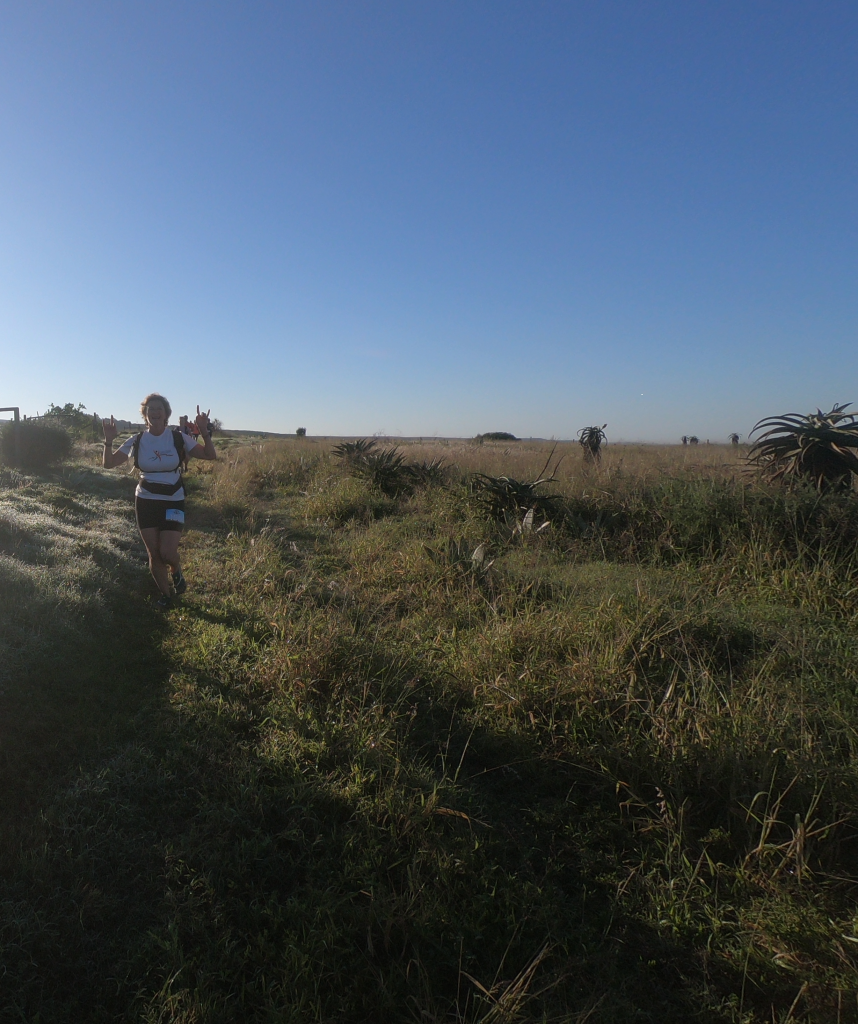 top field (r)