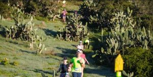 runners